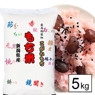 【5kg】令和7年産 もち米 新潟県産 こがねもち 白米