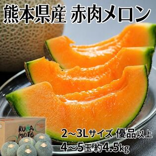 【4~5玉/約4.5kg(1玉約900g)】熊本県産 赤肉メロン クインシー他