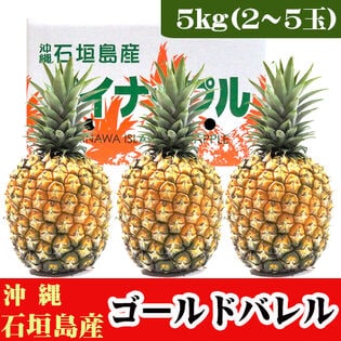 【予約受付】5/25~順次出荷【5kg(2~5玉)】石垣島産パイン「ゴールドバレル」