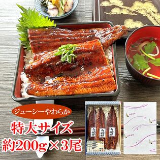 ニホンウナギ　長蒲焼　宮城県加工　特大サイズ約200g×3尾（約6人前）タレ・お吸い物付