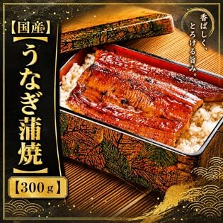 【計300g(2尾-3尾)】鹿児島県産 はねだしうなぎ蒲焼き