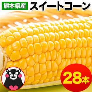 【予約受付】6/15~順次出荷【28本入】朝取り直送 熊本県産スイートコーン とうもろこし