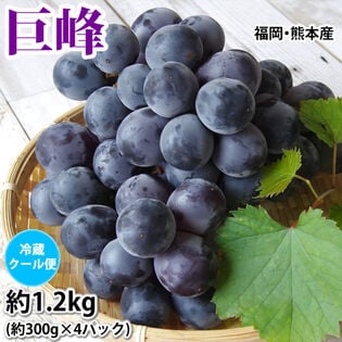 【予約受付】7/16~順次出荷〈クール便でお届け〉【約1.2kg(約300g×4パック)】巨峰