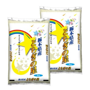 【計10kg/5kg×2袋】[精米]令和7年産 栃木県産とちぎの星 白米