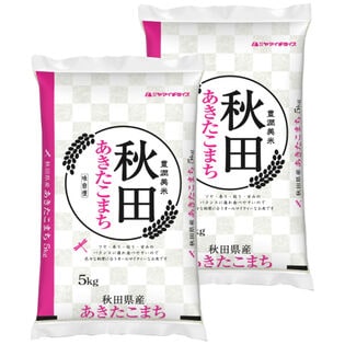 【計10kg/5kg×2袋】[精米] 令和7年産 秋田県産 あきたこまち 白米