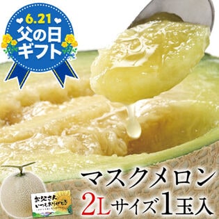 【予約受付】6/15~順次出荷【1玉2Lサイズ】父の日ギフト 九州産マスクメロン《秀品》