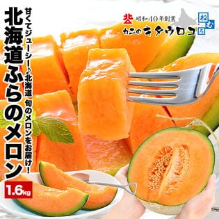 【予約受付】7/15~順次出荷【1.6kg×1玉入】北海道ふらのメロン 《優品or秀品》