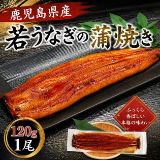 【予約受付】6/4~順次出荷【約120g×1パック】若うなぎの蒲焼 鹿児島県産 築地魚力
