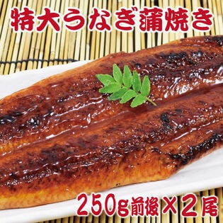 【2尾(約250g×2尾)】＜特大＞うなぎ蒲焼 タレ、山椒付き　計約500gの大容量