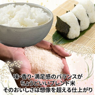 日替わり数量限定】【10kg】令和7年産 国産 ブレンド米 (無洗米)【先行