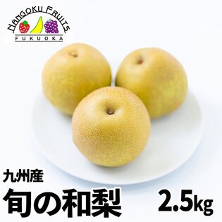【予約受付】7月下旬~順次出荷【九州】 2.5kg 旬の和梨