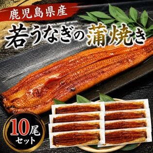 【予約受付】6/4~順次出荷【約120g×10パック】若うなぎの蒲焼 鹿児島県産 築地魚力