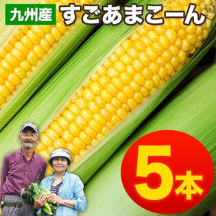 【予約受付】7/13~順次出荷【5本入】朝取り直送 九州産すごあまこーん とうもろこし