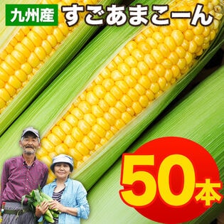 【予約受付】7/13~順次出荷【50本入】朝取り直送 九州産すごあまこーん とうもろこし