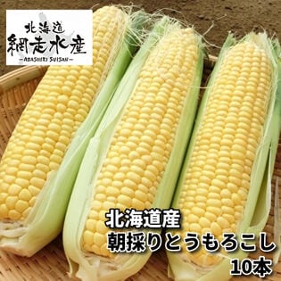 【予約受付】8月以降9月初旬頃まで順次出荷 北海道産 朝採りとうもろこし 10本