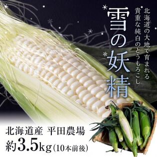 【予約受付】8/1~順次出荷【10本前後(1本約350g)】平田農場のとうもろこし 雪の妖精