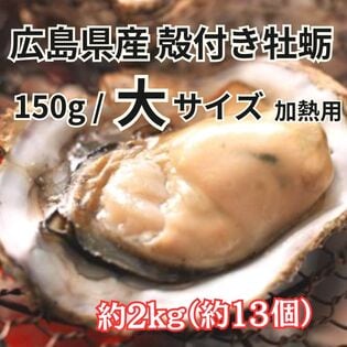 【約2kg/Lサイズ】広島県産 殻付き生牡蛎 （冷凍/加熱用）