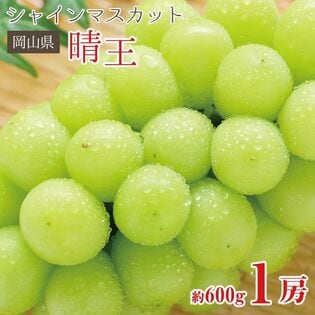 【予約受付】8/25~順次出荷【約600g(1房)】岡山県産シャインマスカット 晴王