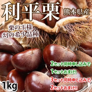 〈クール便でお届け〉【予約受付】9/25~順次出荷【1kg L~2L】熊本県産 利平栗