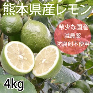 【予約受付】9/25~順次出荷【4kg(2S-L)】熊本県産 レモン 国産レモン