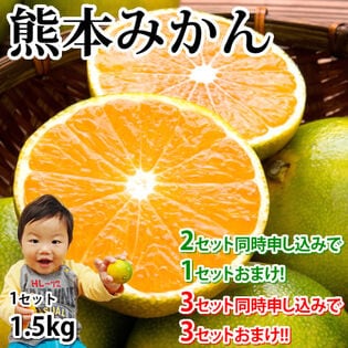 【予約受付】10/1~順次出荷【1.5kg】熊本みかん 極早生 (ご家庭用・傷あり)