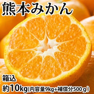 【予約受付】10/1~順次出荷【箱込約10kg】熊本みかん (ご家庭用・傷あり)