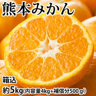 【予約受付】10/1~順次出荷【箱込約5kg】熊本みかん  (ご家庭用・傷あり)