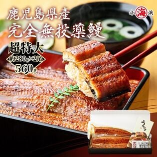 【約280g×2尾】うなぎ蒲焼き 国産　完全無投薬 鹿児島県産 超特大【化粧箱入り】