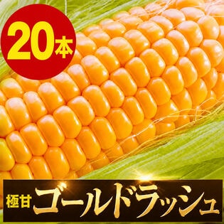 【20本入】北海道名寄市産 ゴールドラッシュ とうもろこし