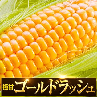 【6本入】北海道名寄市産 ゴールドラッシュ とうもろこし