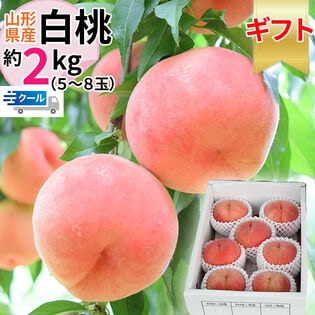 【2kg】＜秀選＞山形県産 白桃 品種おまかせ(5〜8玉入り) クール便