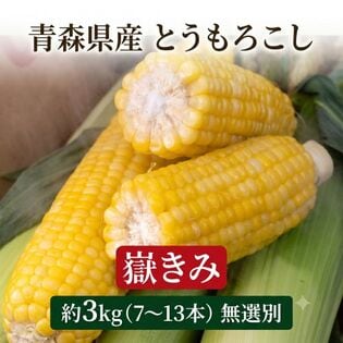 【予約受付】8/13~順次出荷【約3kg(7~13本) 】嶽きみ 青森県産とうもろこし【冷蔵】
