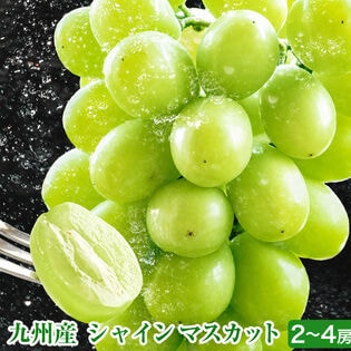 【約1kg-1.2kg前後(2-4房)】九州産 シャインマスカット