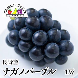 【予約受付】8月下旬~順次出荷【長野】1房　ナガノパープル