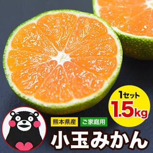 【予約受付】9/20~順次出荷【1.5kg(約18玉前後~43玉前後入)】熊本小玉みかん ※ご家庭用