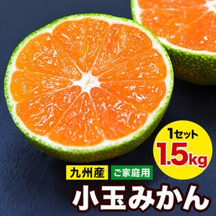 【予約受付】9/20~順次出荷【1.5kg(約18玉前後~43玉前後入)】熊本小玉みかん ※ご家庭用