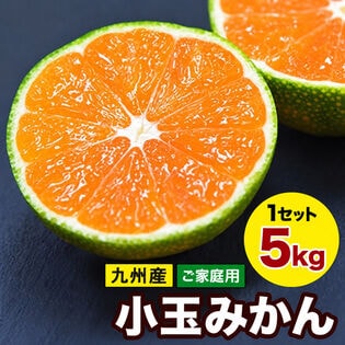 【予約受付】9/20~順次出荷【5kg(約62玉前後~142玉前後入)】熊本小玉みかん ※ご家庭用