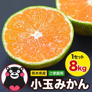 【予約受付】9/20~順次出荷【8kg(約100玉前後~228玉前後入)】熊本小玉みかん ※ご家庭用