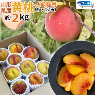 【予約受付】8/15~順次【2kg】＜ご家庭用＞山形県産 黄桃 品種おまかせ(5〜12玉) クール便