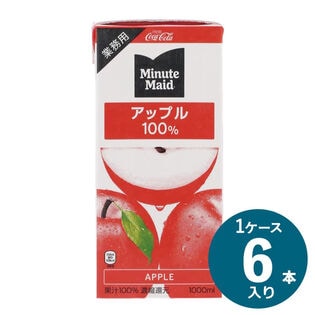 【1L×6本入】コカ・コーラ ミニッツメイド アップル 100％ 業務用 紙パック 1ケース