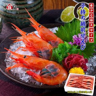 【500g(30尾前後)】子持ち越前甘えび特大サイズ(海船上急速凍結)