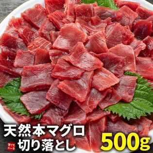【500g】天然本マグロ切り落とし[[天然本鮪切り落とし500g]