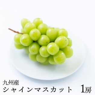 【九州】1房　シャインマスカット
