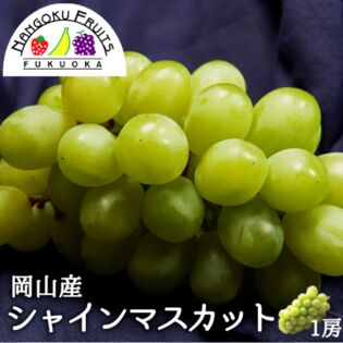 【岡山】1房　シャインマスカット