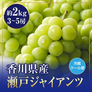 【予約受付】9/14~順次出荷【約2kg(3~5房)】香川県産  瀬戸ジャイアンツ