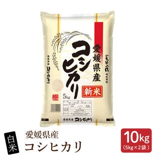 新米【10kg (5kg×2袋)】【白米】愛媛県産 コシヒカリ 令和8年産