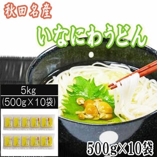 【 5kg(500g×10袋)】稲庭うどん  切り落とし 切下 秋田名産 手作り