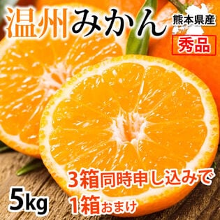 【予約受付】11/20~順次出荷【約5kg】 温州みかん 秀品 熊本県産