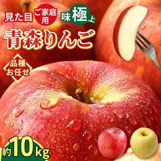 【予約受付】10/1~順次出荷【10kg】 青森県産 ご家庭用りんご 10kg 品種おまかせ