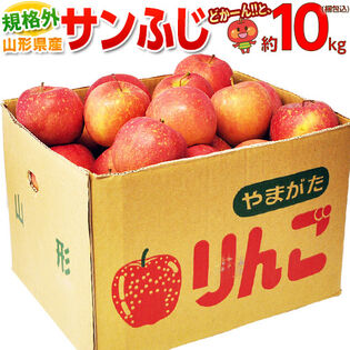 【予約受付】11/1~順次出荷【約10kg(目安として26~50玉)】規格外 サンふじりんご